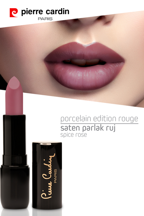 Pierre Cardin Porcelain Edition Lipstick  - Spice Rose - 228