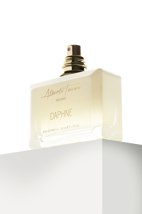 3'Lü Set Alberto Taccini  Daphne Kadın Parfümü 50 ml