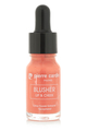 Pierre Cardin Blush Lip & Cheek - Allık-Joy 104