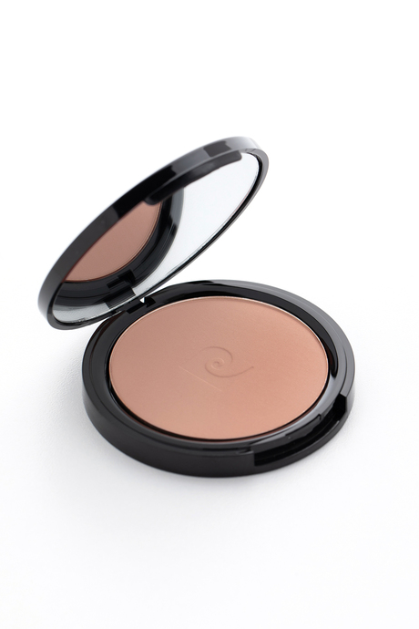 Pierre Cardin Porcelain Edition Blush On - Allık - Pearly Peach