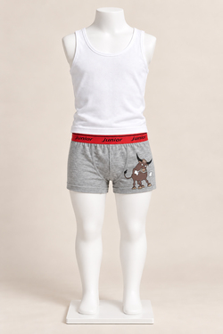 Miorre Erkek Çocuk Boxer